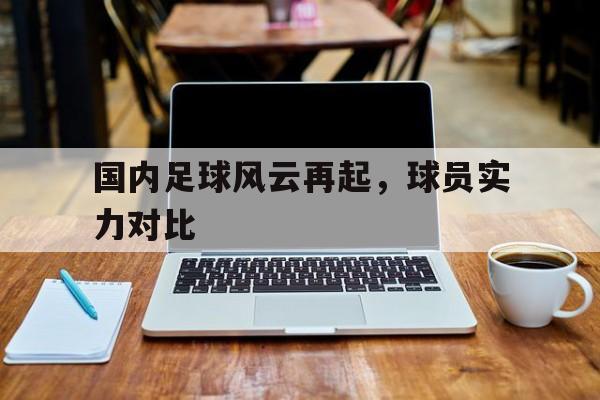 国内足球风云再起，球员实力对比