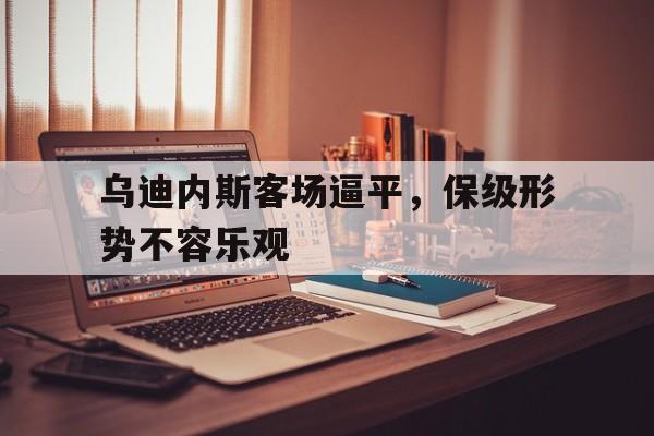 乌迪内斯客场逼平，保级形势不容乐观的简单介绍